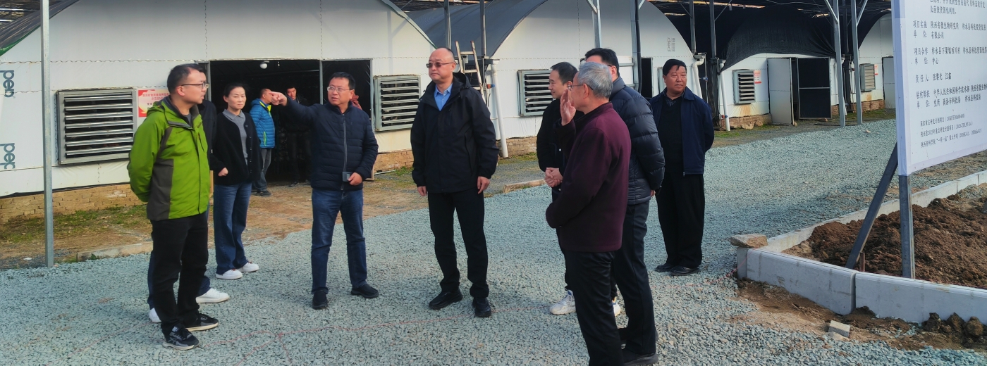 詹瑞调研分省院定点帮扶工作